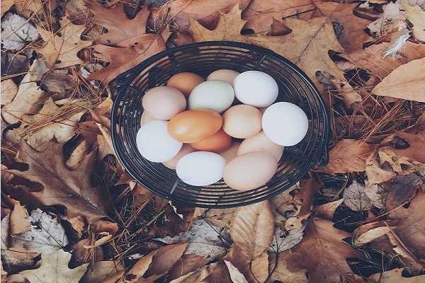 ¿Por qué es importante diversificar tus ahorros?